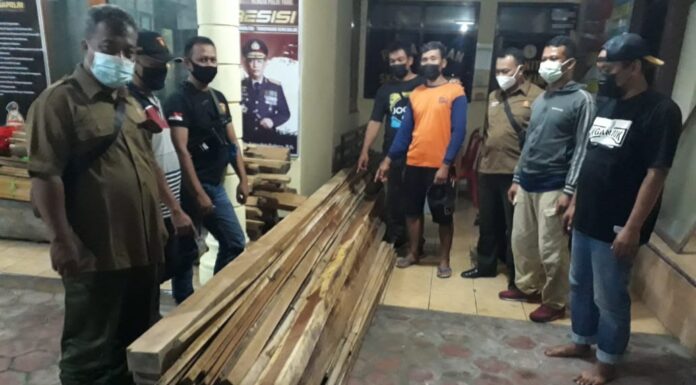 Reskrim Sampung Ringkus Pelaku Illegal Logging Barang Bukti