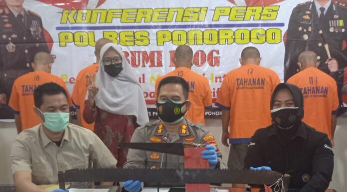 Garong Kayu Sono Keling Diringkus Polres Ponorogo Illegal Logging