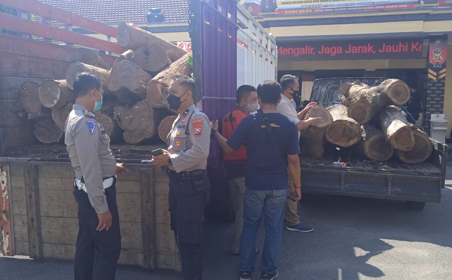 Garong Kayu Sono Keling Diringkus Polres Ponorogo